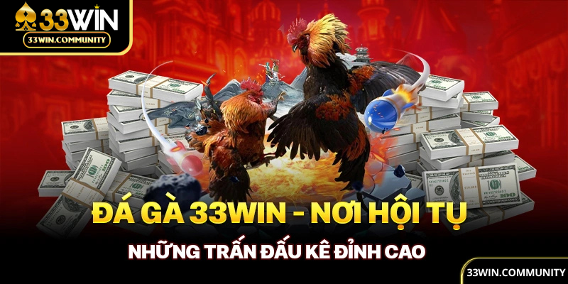 Đá gà 33WIN đa dạng loại hình